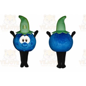 Happy Blue Berry Fruit Mascot Costume