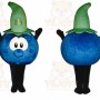 Happy Blue Berry Fruit Mascot Costume
