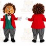 Hedgehog Mascot Costume Cartoon Character Cosplay