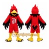 High School & College Team eagle hawk Mascot Costumes High School & College Team eagle hawk Mascot Costumes