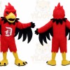 High School & College Team eagle hawk Mascot Costumes