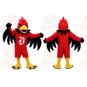 High School & College Team eagle hawk Mascot Costumes