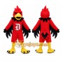 High School & College Team eagle hawk Mascot Costumes