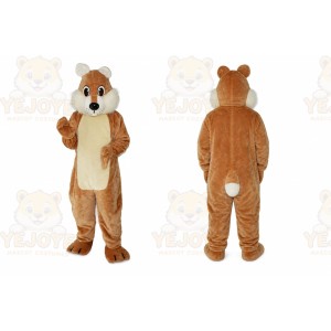 High-Grade Plush Squirrels Mascot Costume