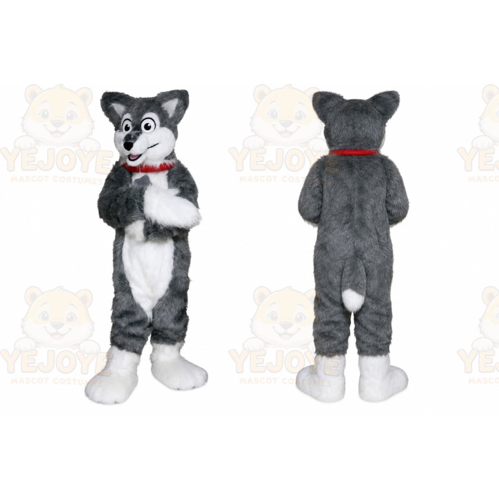 Husky Dog Mascot Costume