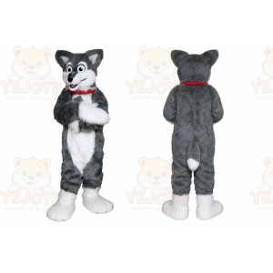 Husky Dog Mascot Costume