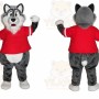 Bad Grey Wolf Mascot Costume Cartoon