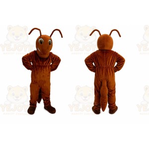 Insect Mascot Costume