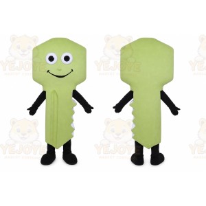 Key Mascot Costume