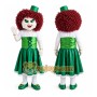 Leprechaun Mascot Costume