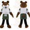 Lion Mascot Costume Sport Mascots