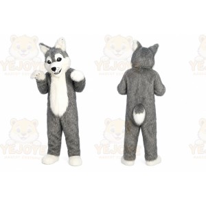 Long Gray Wolf Mascot Costume