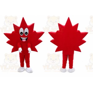 Maple Leaf Mascot Costume