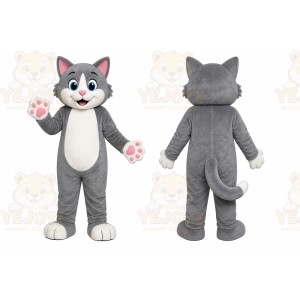 Mary Cats Mascot Costume