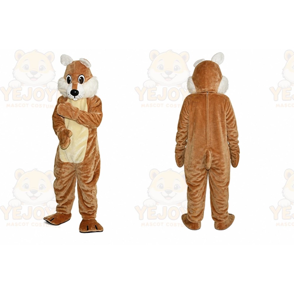 Mascot Brown Squirrel Mascot Costume