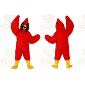 Mascot Red Eagle Bird Mascot Costume