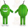 Melon Mascot Costume Fruit Cartoon