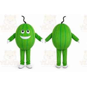 Melon Mascot Costume Fruit Cartoon