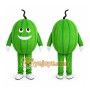 Melon Mascot Costume Fruit Cartoon