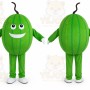 Melon Mascot Costume Fruit Cartoon