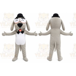 Mr Peabody Sherman Dog Mascot Costume