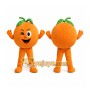 Orange Fruit Mascot Costume