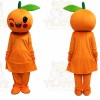 Orange Mascot Costume