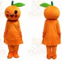 Orange Mascot Costume
