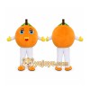 Orange Fruit Mascot Costume