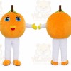 Orange Mascot Costumes