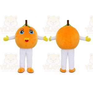 Orange Mascot Costumes