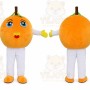 Orange Mascot Costumes