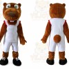 Beaver Mascot Costume Sports Mascot