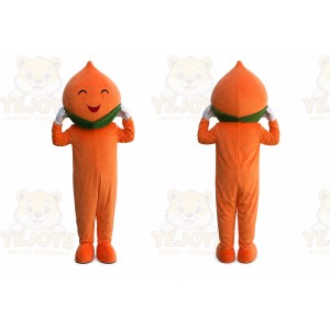 Peach Mascot Costume
