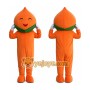 Peach Mascot Costume