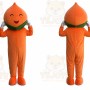 Peach Mascot Costume