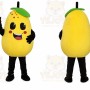 Pears Mascot Costume
