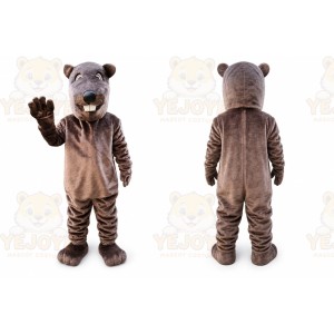 Beaver Sinocastor Castor Mascot Costume
