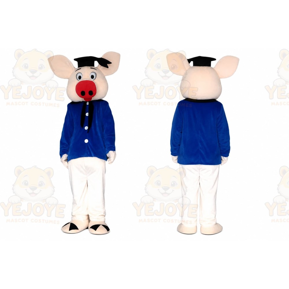 Pig Doctor Mascot Costume