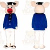 Pig Doctor Mascot Costume