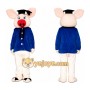 Pig Doctor Mascot Costume