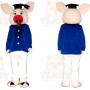 Pig Doctor Mascot Costume