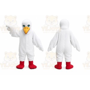 Pigeon Mascot Costume