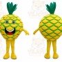Pineapple Mascot Costume Fruit Cartoon Character