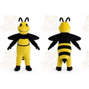 Bee Hornet Mascot Honeybee Costume