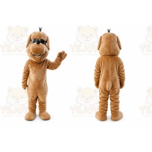Plush Glass Dog Mascot Costume