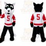 Popular Wolf Mascot Costumes