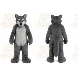 Porky Pig Mascot Cartoon Costume
