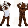 Prairie Wolf Mascot Costume for Adult