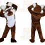 Prairie Wolf Mascot Costume for Adult